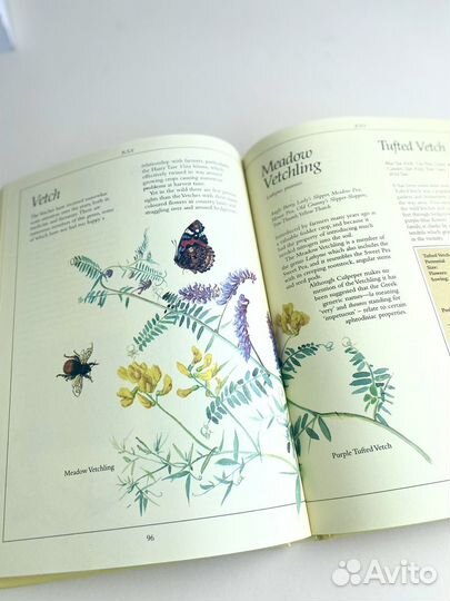 Деревенский дневник с рисунками Эдит Холден