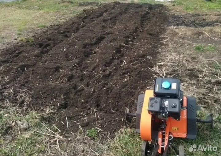 Культиватор бензиновый Carver T-650R