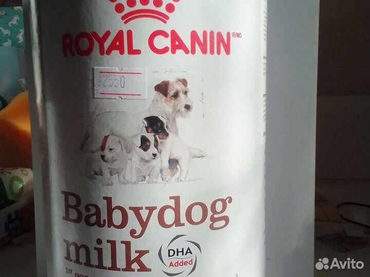 Сучье молоко