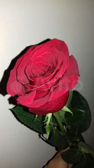 Участок 5 сот. (ИЖС)