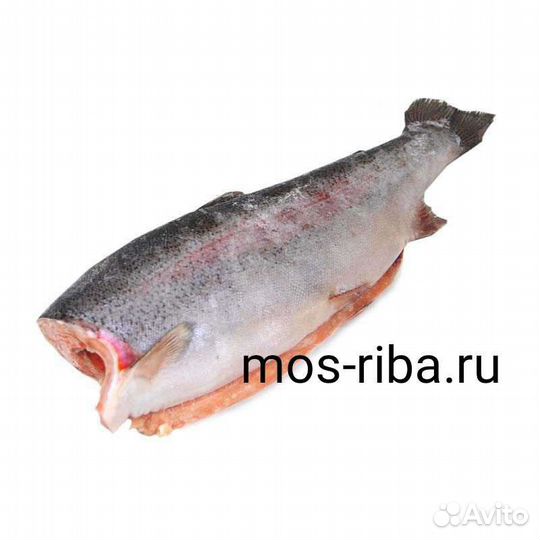 Форель потрошеная свежемороженая