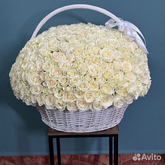 Розы 101 201 301 роза Цветы Букет