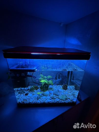 Аквариум