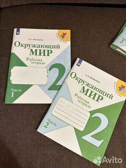 Рабочая тетрадь окружающий мир 2 класс