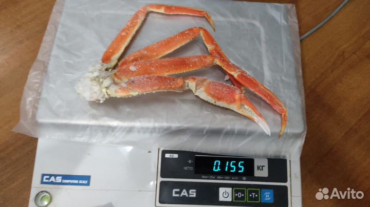 Краб стригун средне крупный