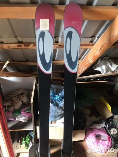 Горные лыжи