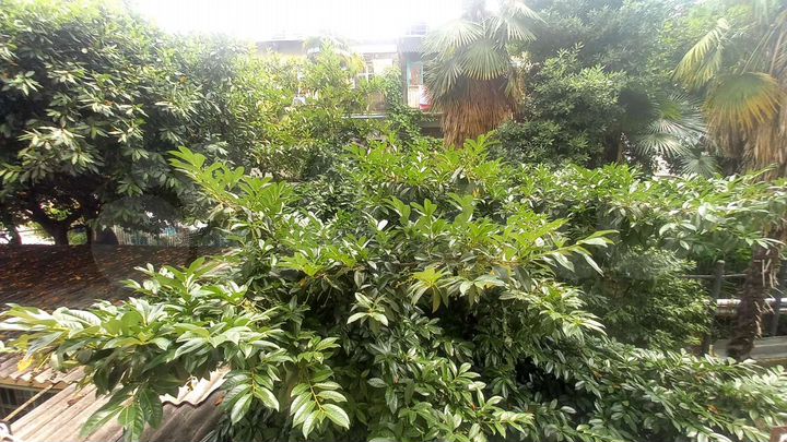 Квартира-студия, 18 м², 2/6 эт.