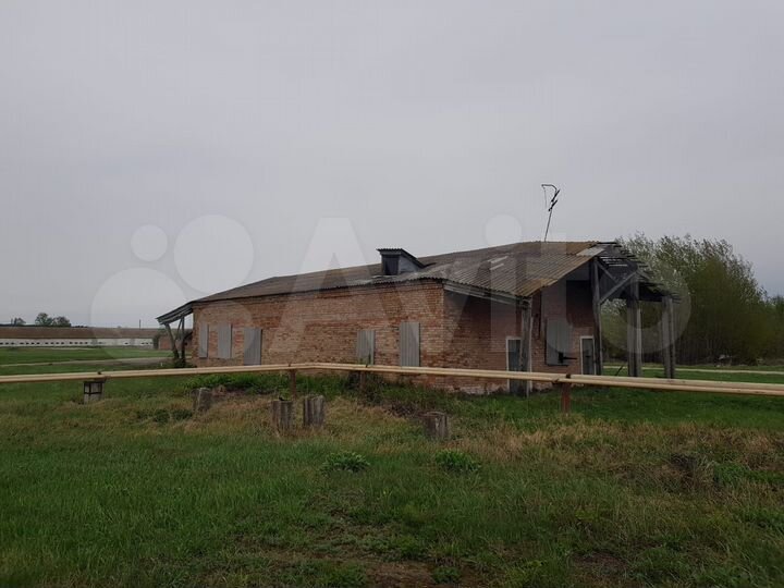 Здание, 6000 м²