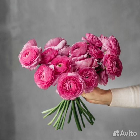 Ранункулюсы, доставка цветов, букеты