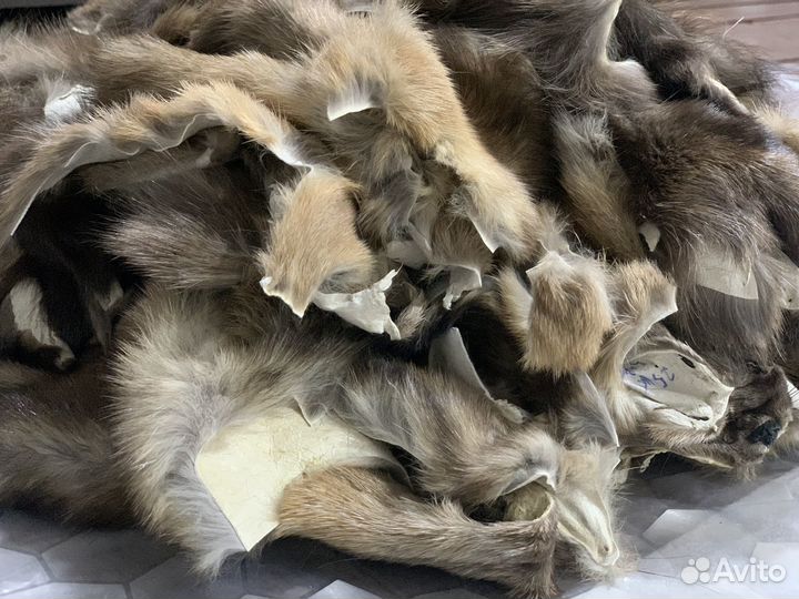 Обрезь (обрезки, остатки, лоскуты, шкурки) соболя