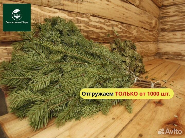 Веник из пихты