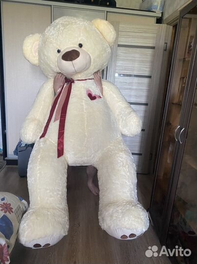 Плюшевый медведь