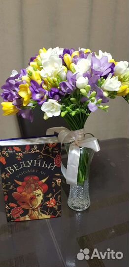 Новинка Элизабет Ли 