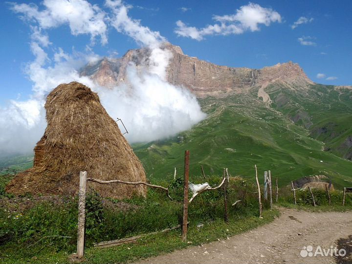 Горящий тур в Куруш