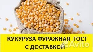 Кукуруза нн