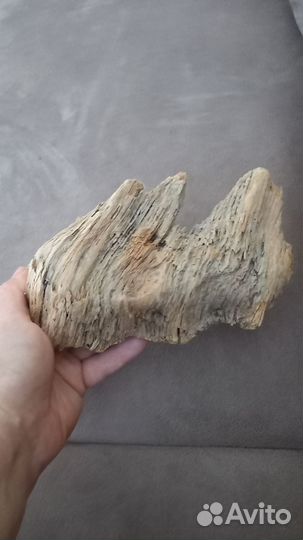 Коряги дрифтвуд