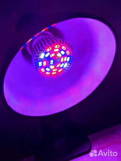 Фитолампа светодиодная для рассады новая