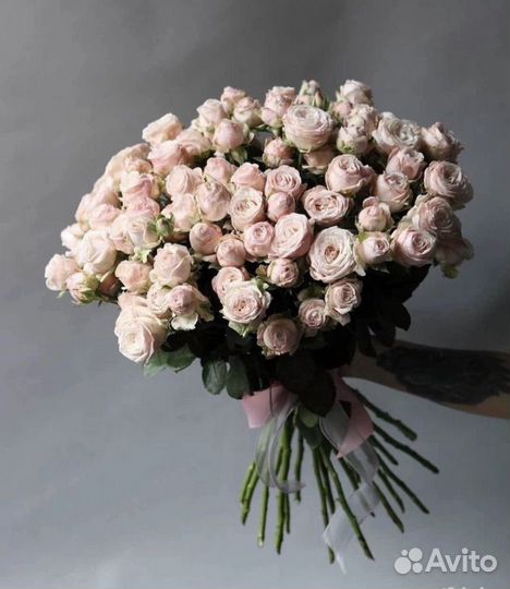 Цветы розы пионовидные кустовые с доставкой