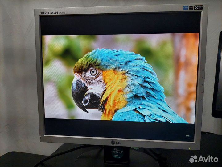 Монитор LG Flatron L1725S-SF 17 дюймов