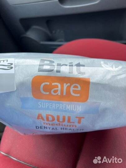 Brit care adult