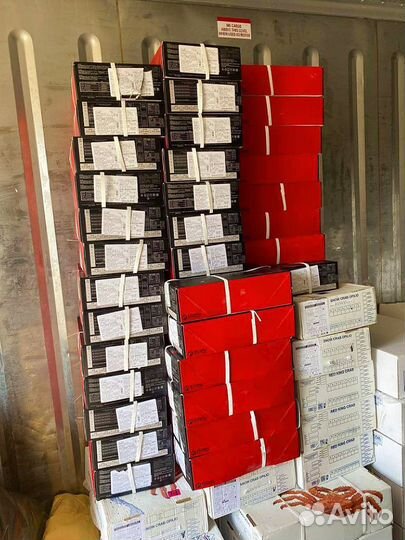 Креветка Северная