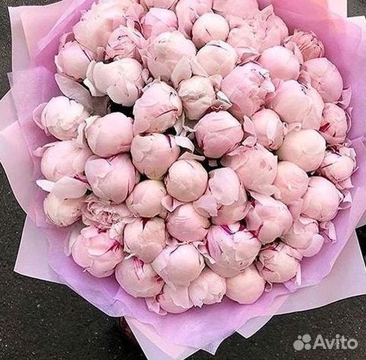 Пионы Розы Доставка