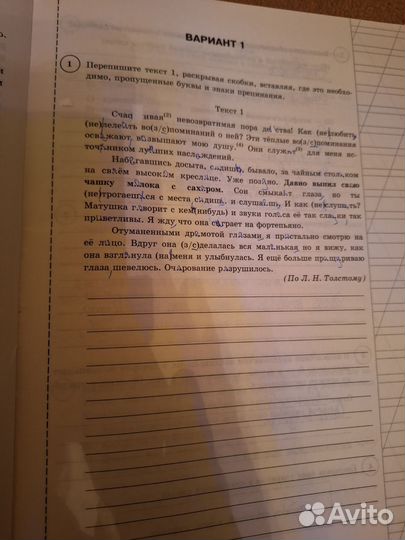 ВПР 7 класс русский язык и математика