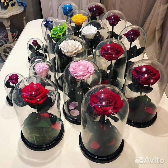 Роза в колбе