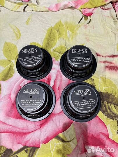 Динамики 16.5