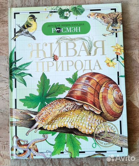 Детские познавательные книги