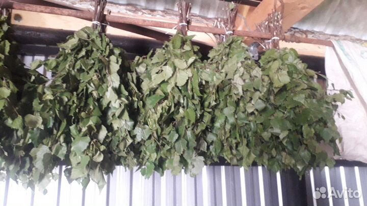 Веники для бани