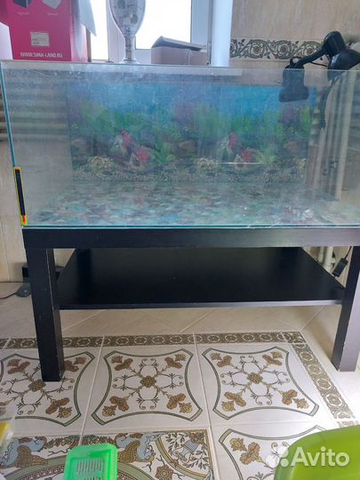 Аквариум (террариум) 170 литров