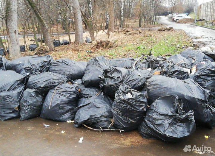 Вывоз мусора