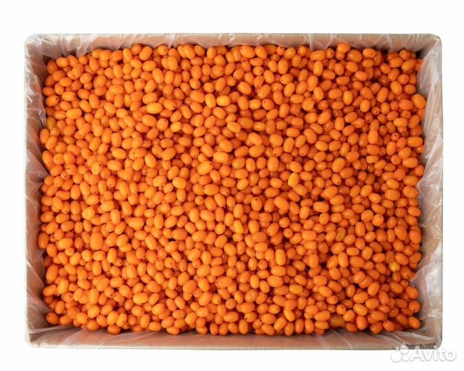 Клюква, брусника, облепиха, малина