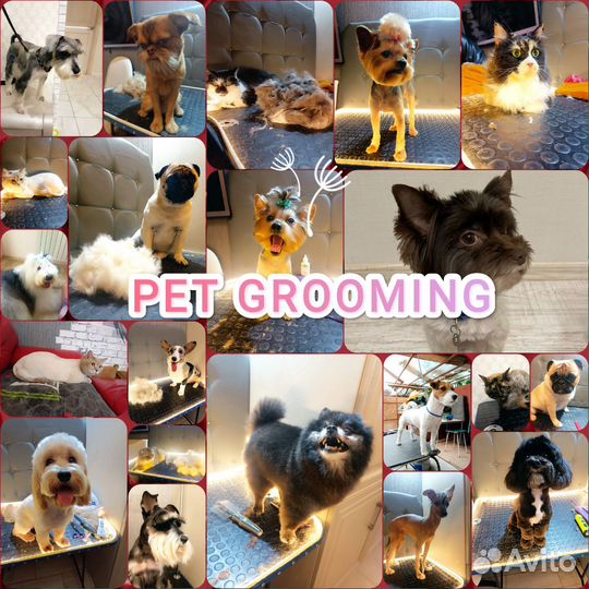 Грумер для собак и кошек с доставкой