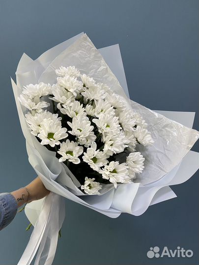 Хризантемы кустовые ромашка