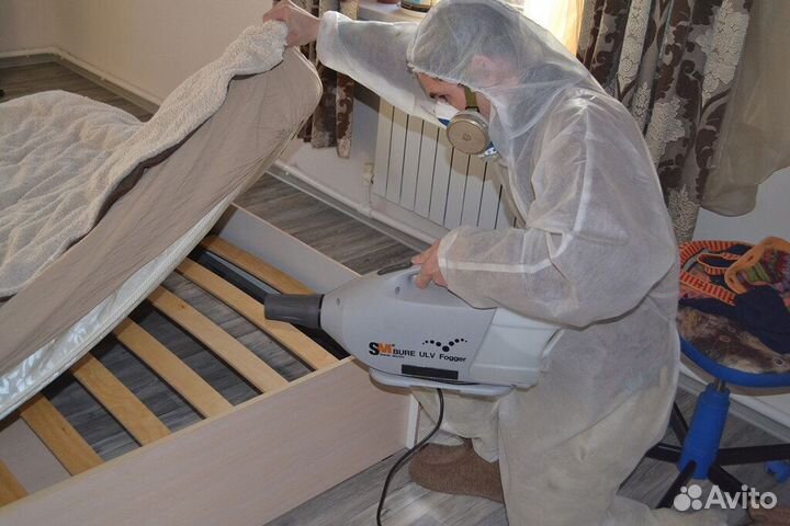 Уничтожение Клопов Тараканов Клещей Ос Борщевика