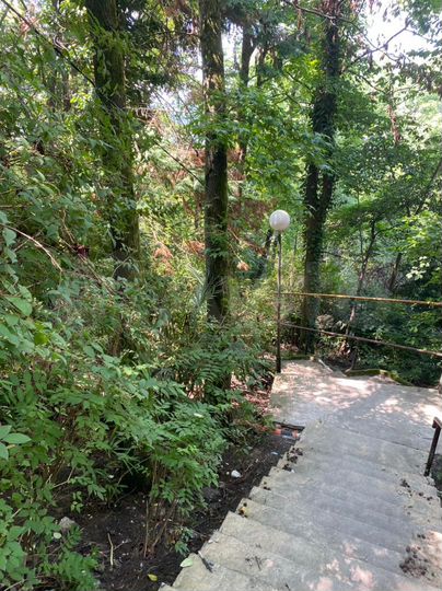 Участок 50 сот. (ИЖС)