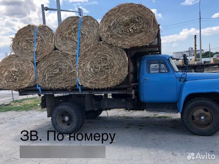 Солома кукурузная