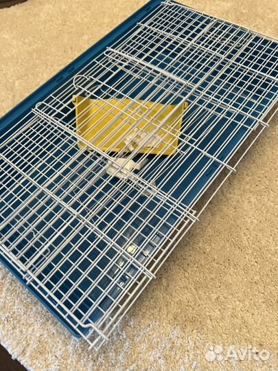 Декоративный, карликовые кролики