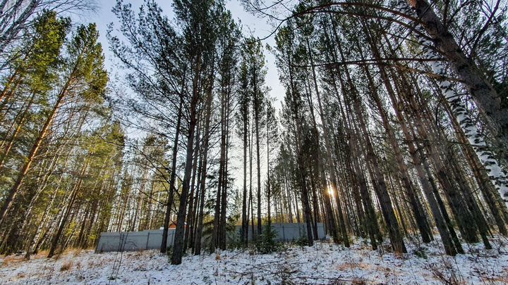 Участок 13 сот. (СНТ, ДНП)