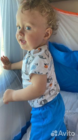 Манеж на прокат в поезд