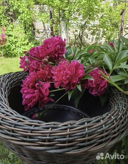 Кашпо для цветов