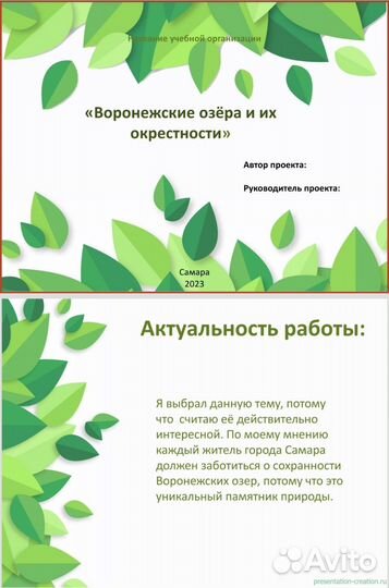 Итоговый проект