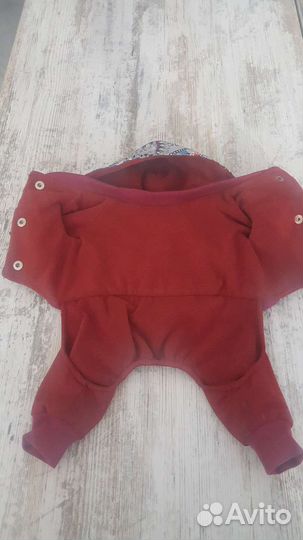 Одежда для маленьких пород собак