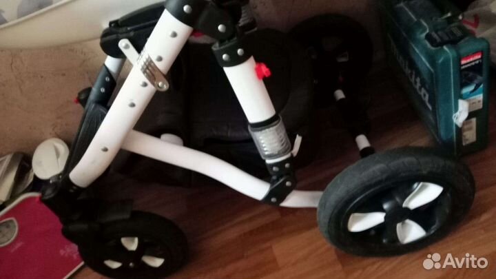 Коляска 2 в 1 adamex экокожа