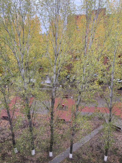 2-к. квартира, 54 м², 7/9 эт.