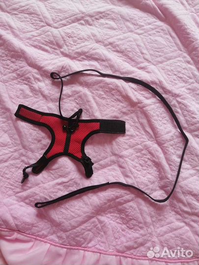 Шлейка с поводком для хорька