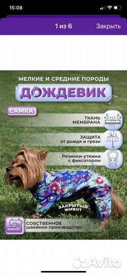 Комбинезон для собаки