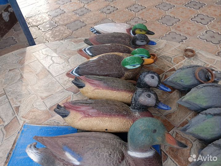 Подсадные утки